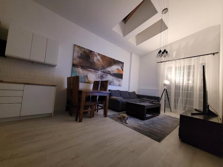 Apartament W Starym Mlynie Loft Rozanka Breslau Exterior foto